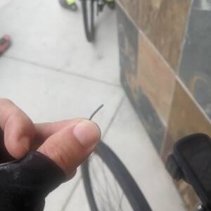 This little bastard was in my tire!