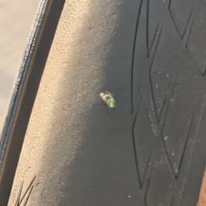 PXL_20260105_154009053