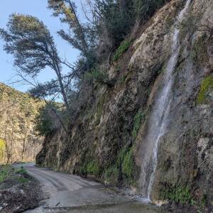 PXL_20260131_185744561